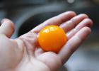 Как правильно и легко отделить желток от белка в курином яйце: способы, советы, видео