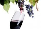 Домашнее вино из винограда: лучшие рецепты с фото